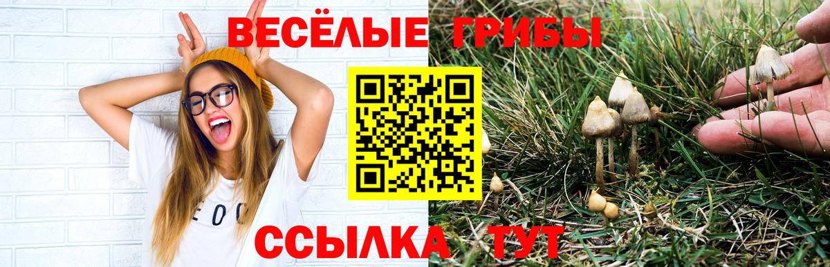 Галлюциногенные грибы Magic Shrooms  где можно купить наркотик  Кызыл  Вход с VPN 