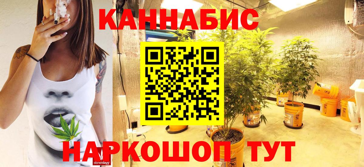 Конопля MAZAR  МАРИХУАНА семена  Вход с VPN  Каннабис индика  Канабис ГИДРОПОН  Кызыл 